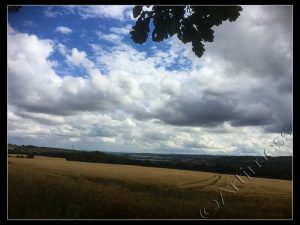 Clouds Over Cornfield