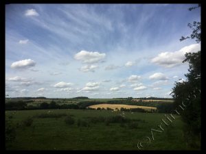 Cottonwool Clouds