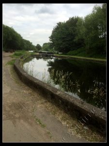 Following the Canal Path