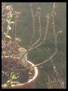 Noticing