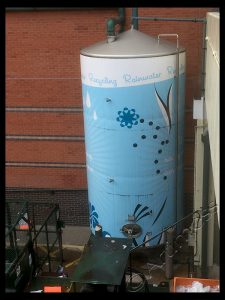 Recycling Rainwater