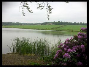 View Across Lake