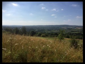 View Over Golf Course