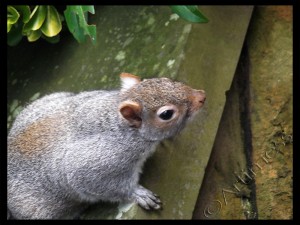 Inquisitive